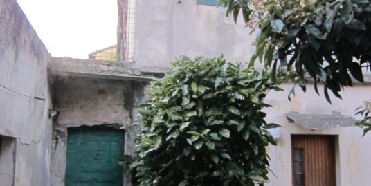 Fano-Row house