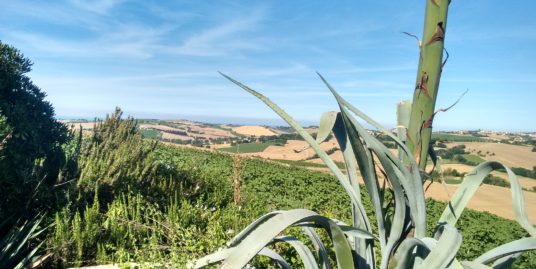 Fano/Caminate – Cottage to be restored