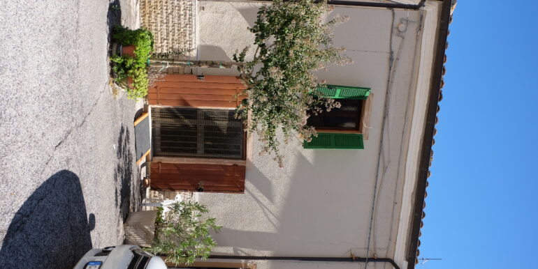 DSCF6230