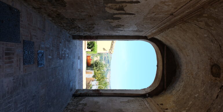 DSCF6232